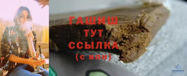 молекула духа Богданович