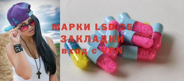 молекула духа Богданович