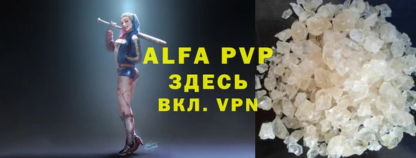 молекула духа Богданович