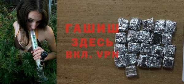 молекула духа Богданович