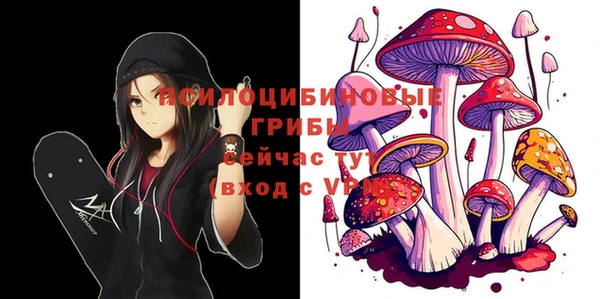 молекула духа Богданович