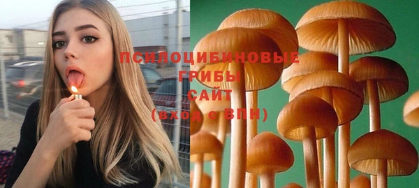 сатива Богородицк