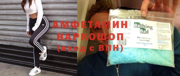 молекула духа Богданович