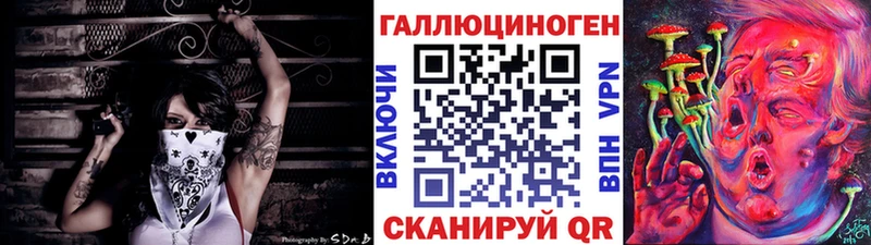 дарк нет телеграм  Хотьково  Псилоцибиновые грибы GOLDEN TEACHER  как найти закладки 